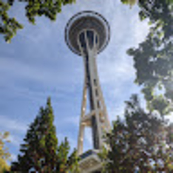 wilsonexp_2